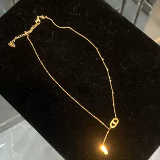 宝曼 钛钢新款双D猪鼻子流苏项链个性百搭ins高级感轻奢锁骨颈链
