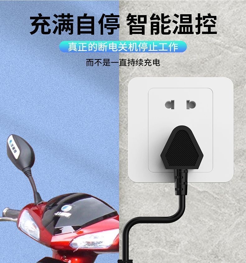 Electric Vehicle Intelligent Pulse Voltage Stabilizer Repairer One-Click Repair Activation Battery Fully Automatic Power Outage Protection Universal