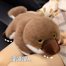 �羳ſ�˳�������Fë�q��߿ɐ���ż��ͯ���ṫ�����޶Y�����l