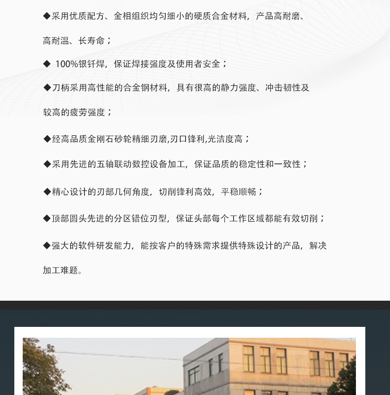 L1027X06钨钢合金磨头_