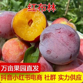 其他水果;番薯类;梨
