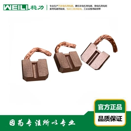 碳刷、电刷;电动机配件