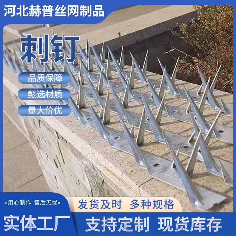 Производители продажи тюрьмы стены анти-восхождение удар из нержавеющей стали горячей оцинкованной анти-восхождение удар Удар гвоздь горит нержавеющей стали газовые трубы гвоздь
