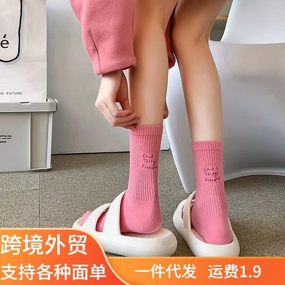 Socks for Women Spring and Summer Mid-calf Socks Thin ins Trendyy Versatile Outer Wear Japanese Style Popular Preppy Style Sports Pile Socks