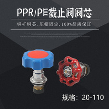PPR卡簧截止阀芯 铜阀壳管件热熔水管接头20 25 32升降截止阀阀芯