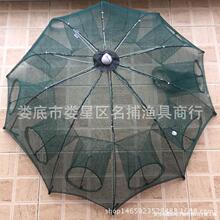 �Ӻ�8���Ԅӂ��β��~�W�r�W�r�\�X�~���q�O�W���~�\�S�����l�O��