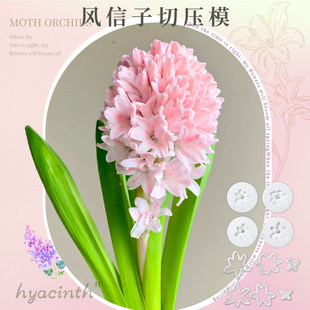 �����L���ӻ����Љ�ģ�߻�����ģ�y·ģ�����b��ֹ�ճ����ģ��