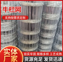 ����ţ�ھWú�V��\�F�z�W�Bֳţ��䓽z�W�⠝��WĨ�ҾW늺��WƬ