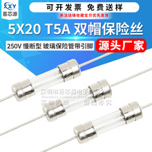 5x20mm双帽玻璃保险丝 250V T5A 慢断型带引线脚电源保护器熔断管