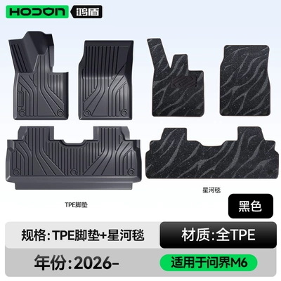Interior Modification Accessories Trunk Mat Modelə uyğun ayaqaltı - 212t01-wenjie-m6-26-models-double-layer-foot-pad-black-tpe-thickened-black-galaxy-blanket-starlight-embellishment