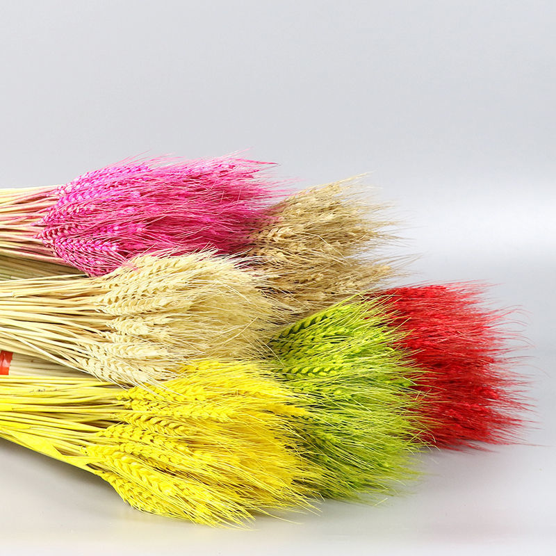 批发麦穗黄金色小麦穗干花仿真摆件田园装饰礼品拍摄道具包邮开业|ru