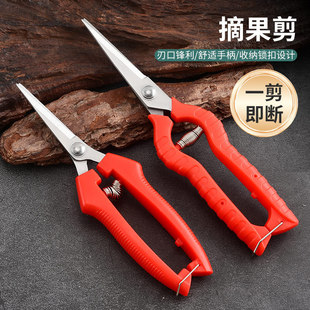 �羳�F؛���P䓈@����֦������ϡ�����P���@ˇ���߼��^���@ժ����