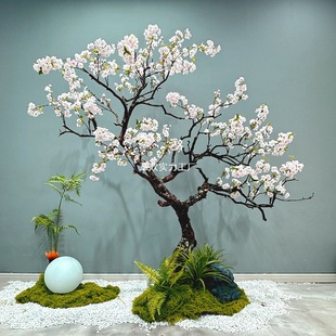 �滨����һ�÷��ӭ�����S��ɫ�����҃�ֲ�ﻨˇ����