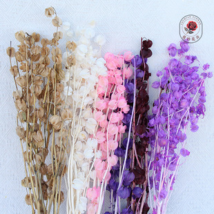 ������ľ�Ϲ����۹����\���L⏹��ɻ�diy���ϻ����廨��c�b�