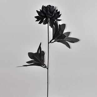 ����ɫɏ��������Gֲ���ڼٻ����յ��߾W�t�Շ��г�Ƭ�b��Ʒ