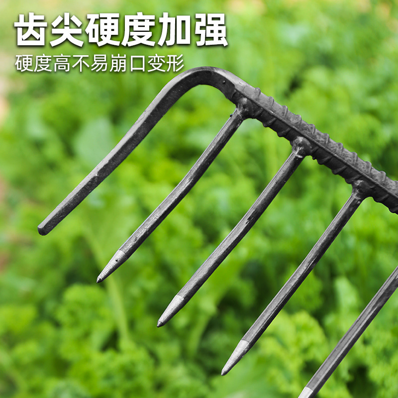 锨