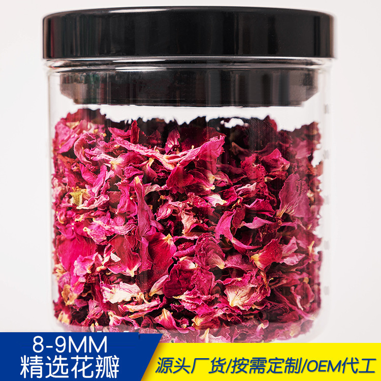 バラのバラの重弁の赤いバラの花びらはバラの花びらを食べます。|undefined