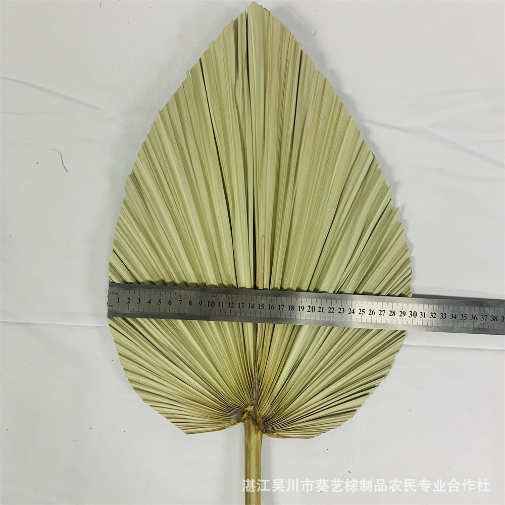 Los fabricantes de hojas de la flor seca de la hoja de la palma de la planta de hoja de la flor seca de la hoja de La Palma