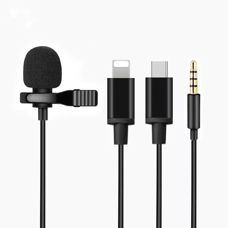Mobile phone, microphone