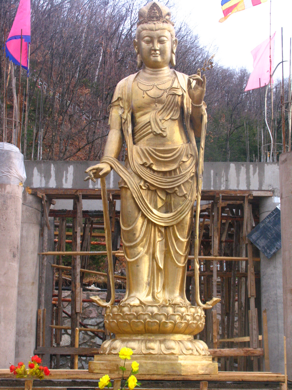 详情图