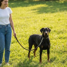 �����ţƤ���K�˹ɾ��Ơ����������Ȧ��Ƥ�д���Ȯ��Ʒ�S�����l