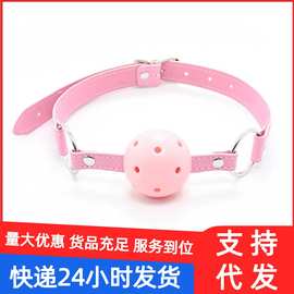 SM道具调情调教性工具口球捆绑深喉调教调情情趣用品成人性玩具