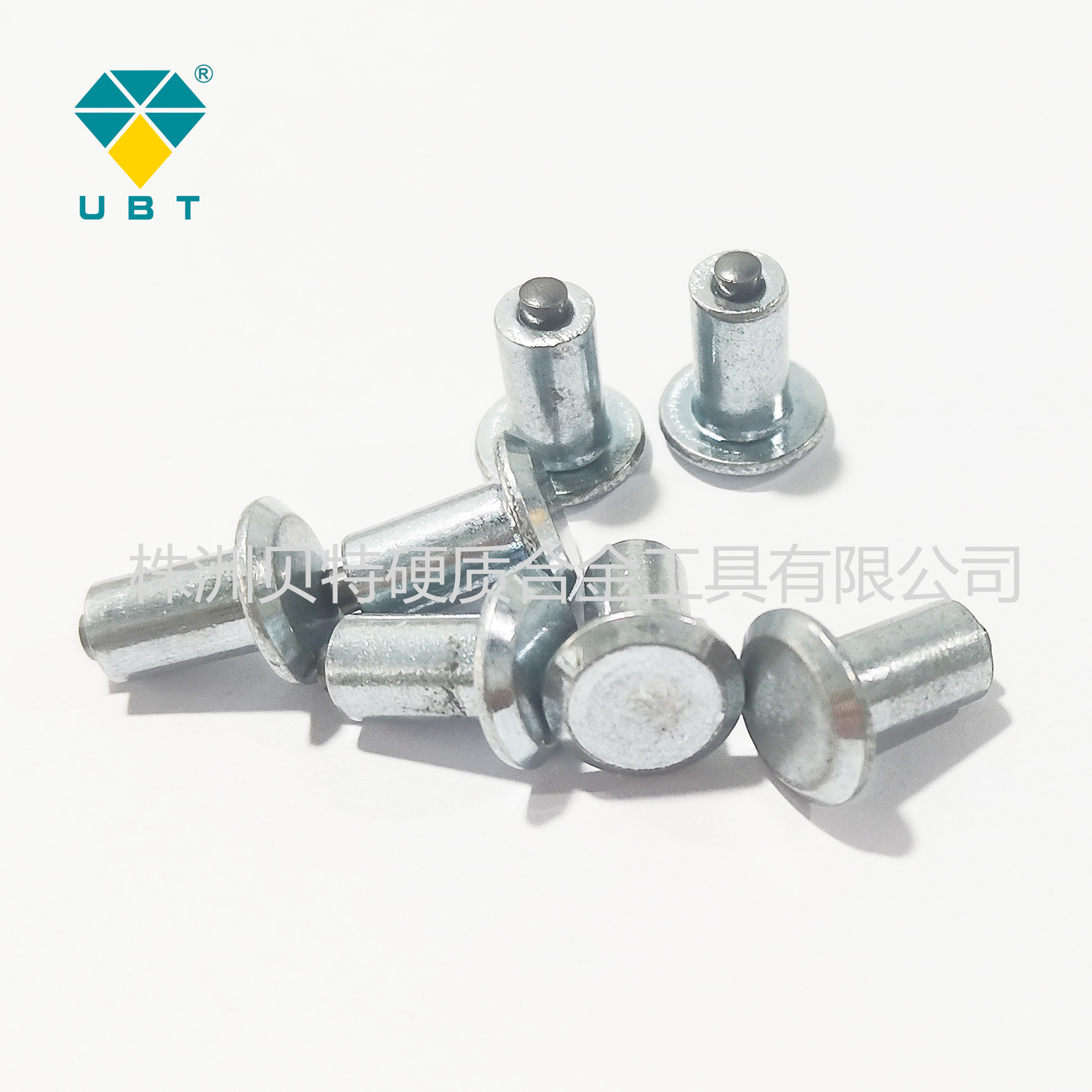 微信图片_20250207103131-1