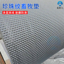 ��������y�����|8mm����ӊA���A�c�������z�|������ĥţ���z�|