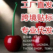 �����RͰˢ�������L���RͰˢ���b�l���g�o�����坍�����羳���N