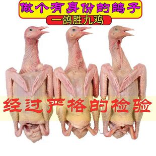 �������������r�����������������r����b���]�S�Ҵ��lһ�����]