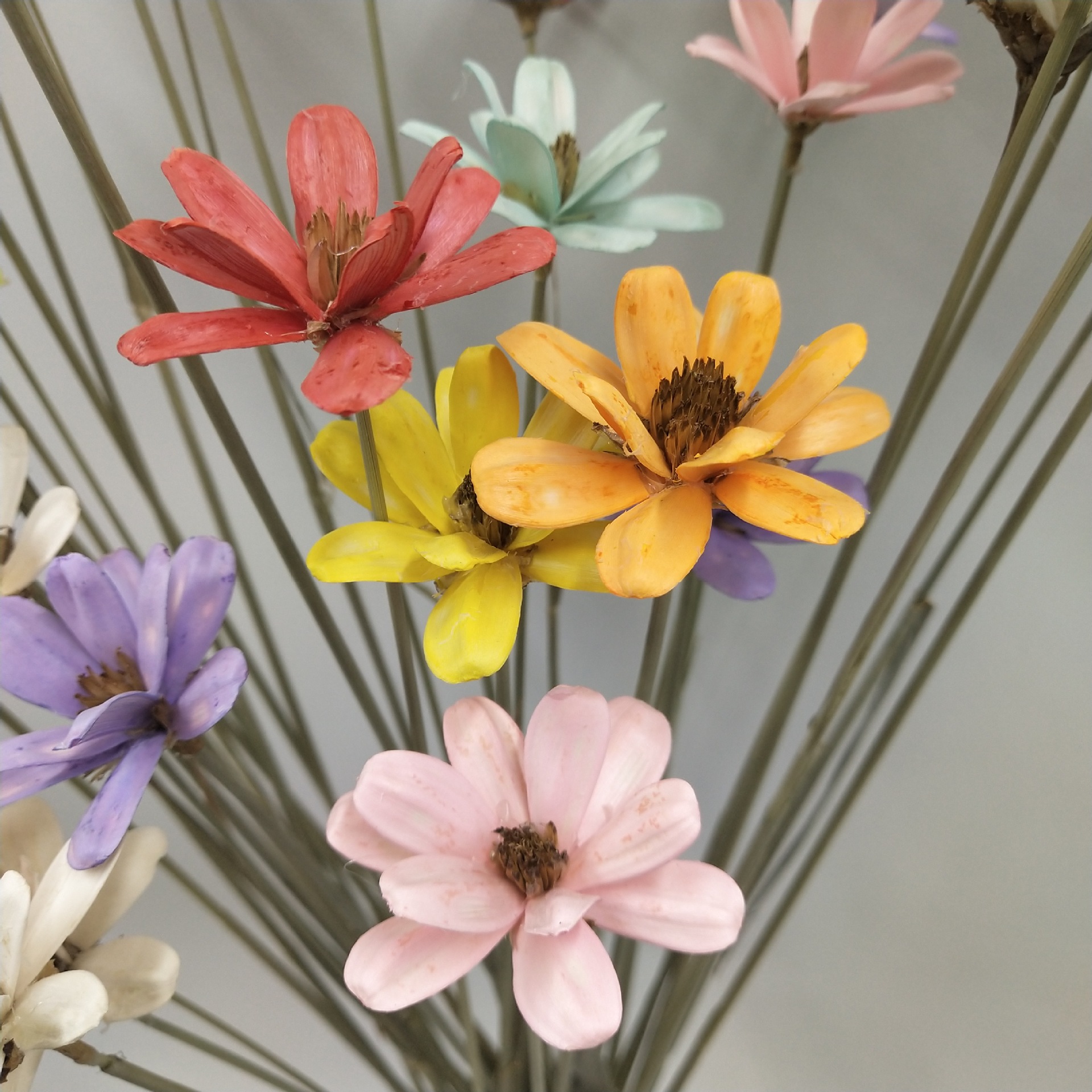 Colorful artificial glued composite dry flower melon seed flower, dry flower bouquet DIY materials home decoration, melon seed shell