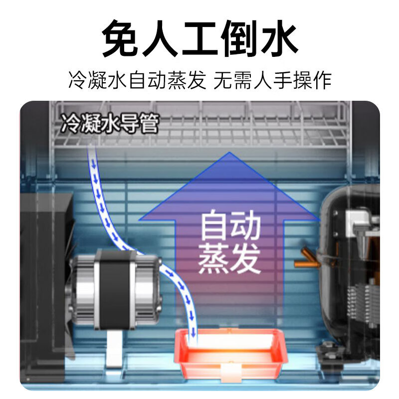 Internet celebridad floristería conversión de frecuencia ahorro de energía gabinete de mantenimiento fresco refrigerado por aire libre de heladas pantalla completa gabinete de la boda flores congelador vertical