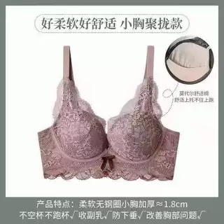 外贸跨境电商小胸聚拢内衣女调整型蕾丝文胸无钢圈熊罩杯韩国日本