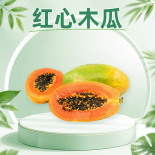 �V���t��ľ�� һ�����l2/3/5/8.5-9�����������Ŵ������rˮ��