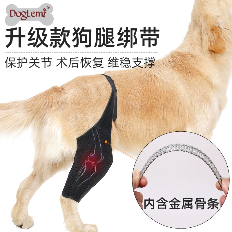 Модернизированный ремень для ног собаки защищает суставы после операции
