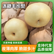 ɽ|Sˮrˮrˮlֱaֱlִ֧l