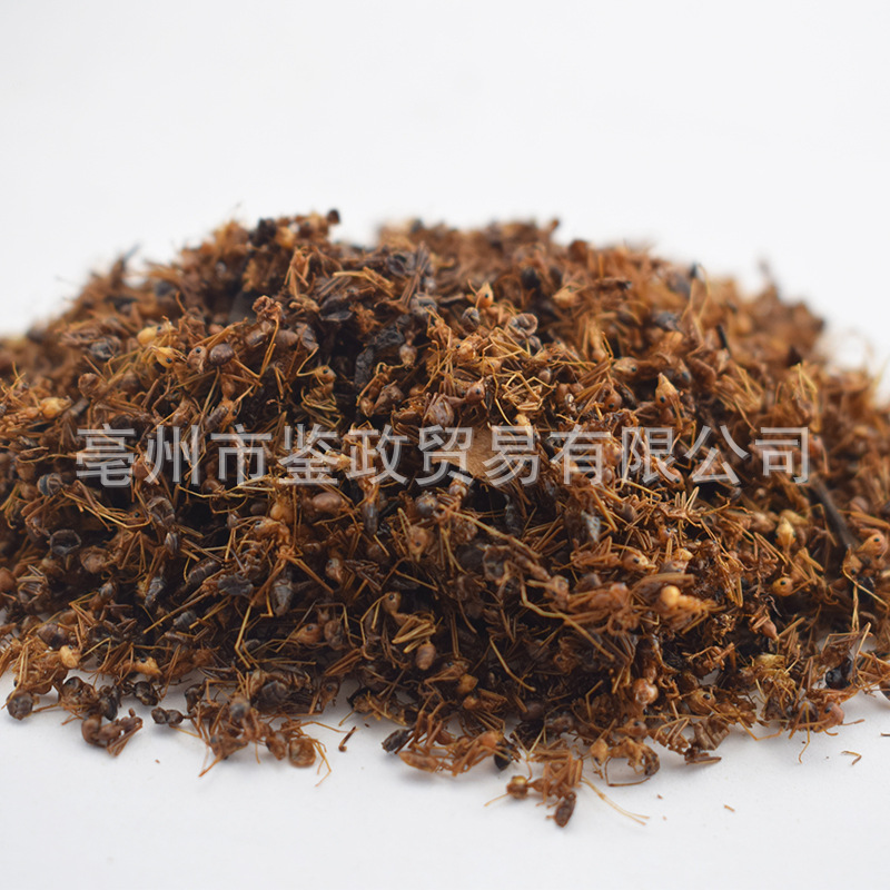 Dried Black Ant Whole Insect 500g Traditional Chinese Herbal Material for Infusion and Decoction Use specifications