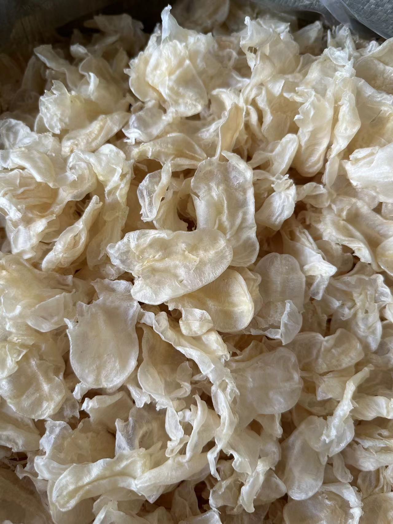 微信图片_20230212151240