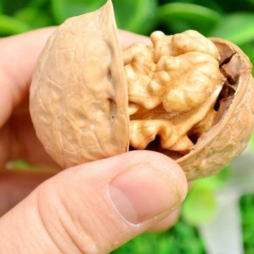 【Dropshipping】Roasted Walnut Xinjiang Paper-pith Walnuts Thin Peel Walnut for Pregnant Women Special Milk Aromatic Herbal Pepper Salt Roasted Walnuts