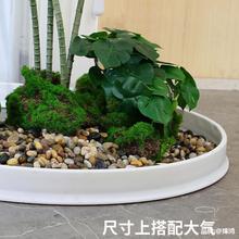 ֲ쾰bzړl̨^߅҃ȾGֲճСř