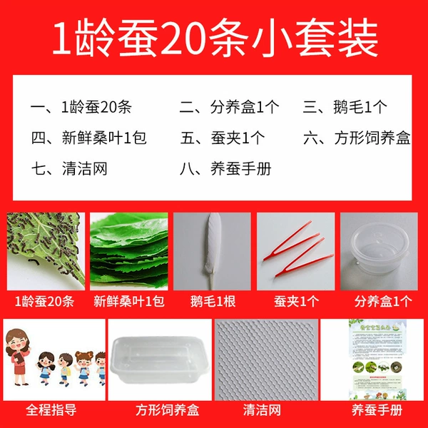 Set, 20 pieces