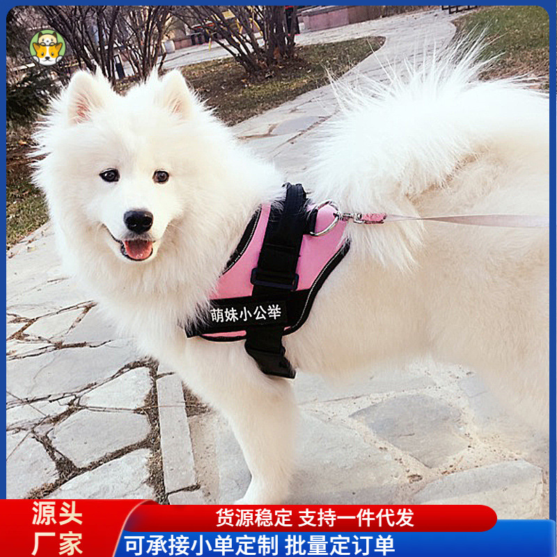 공장 k9 애완 동물 가죽 끈 애완 동물 가슴 끈 개 가죽 끈 개 가죽 끈 개 가죽 끈 애완 동물 용품 도매