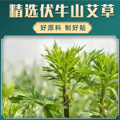 Nanjing Tong Ren Tang Mugwort Patch, Household Mugwort Warm Moxibustion Whole Body Mugwort Leaf Patch, Boxed Manufacturer Wholesale Moxibustion Patch