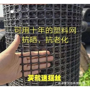 Chicken Plastic Mesh Fence Net Chicken Net Household Breeding Net Protective Net Fence Fence Outdoor Vegetable Garden Geotechnical