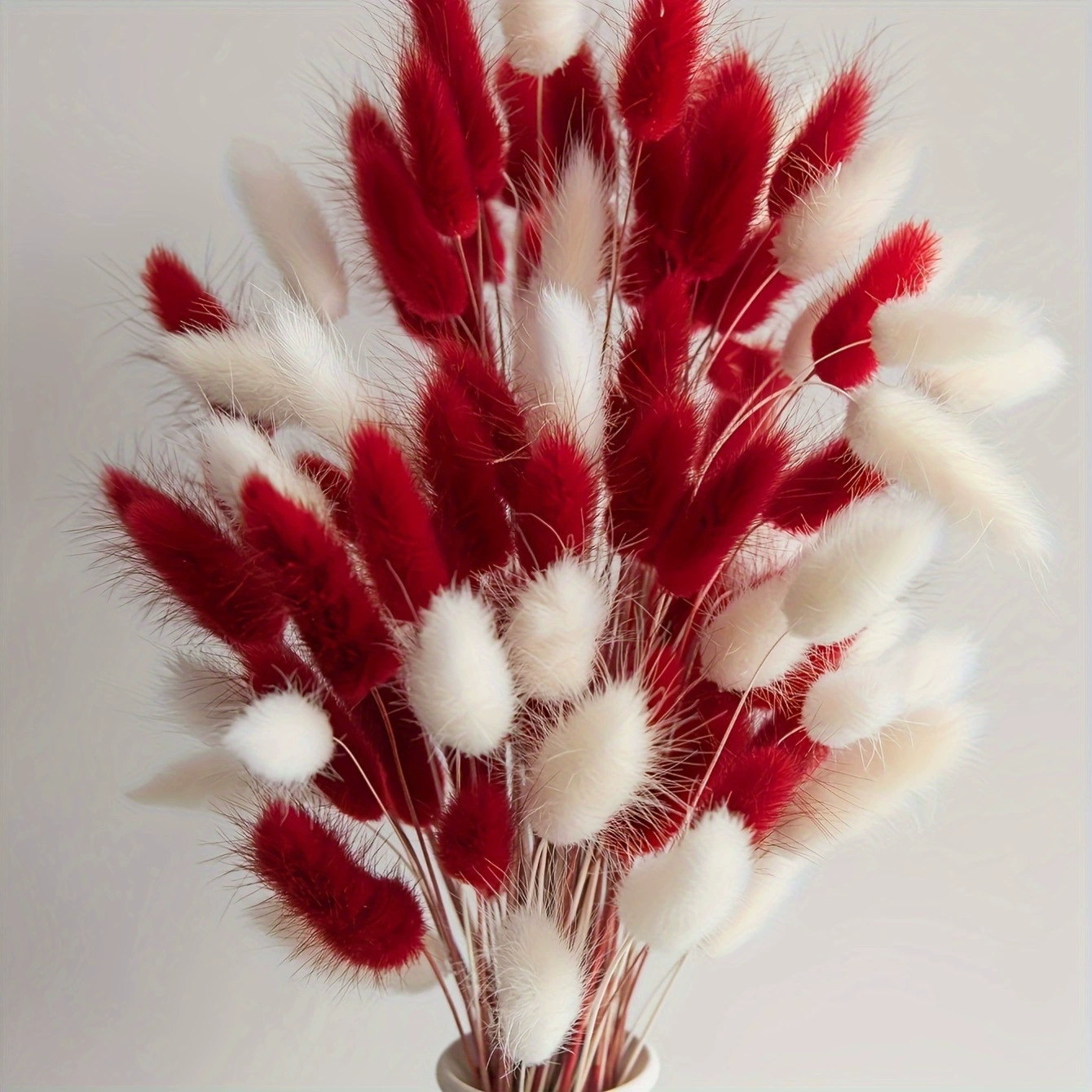 Cross-border supply of bohemian style pampas bouquets New Year gifts red color home decoration cross-border