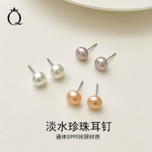 s999纯银6A级淡水珍珠耳钉女简约款百搭高级感养耳洞珍珠耳饰批发