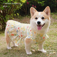 狗狗猫咪衣服薄款防掉毛透气柯基柴犬比跨境工厂一件供应批发