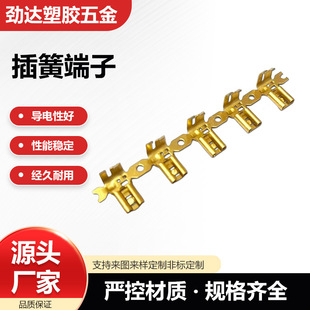 �S�~��a��ɾ����Ӳ����i187������ĸ�������ζ���4.8�����Ͷ���