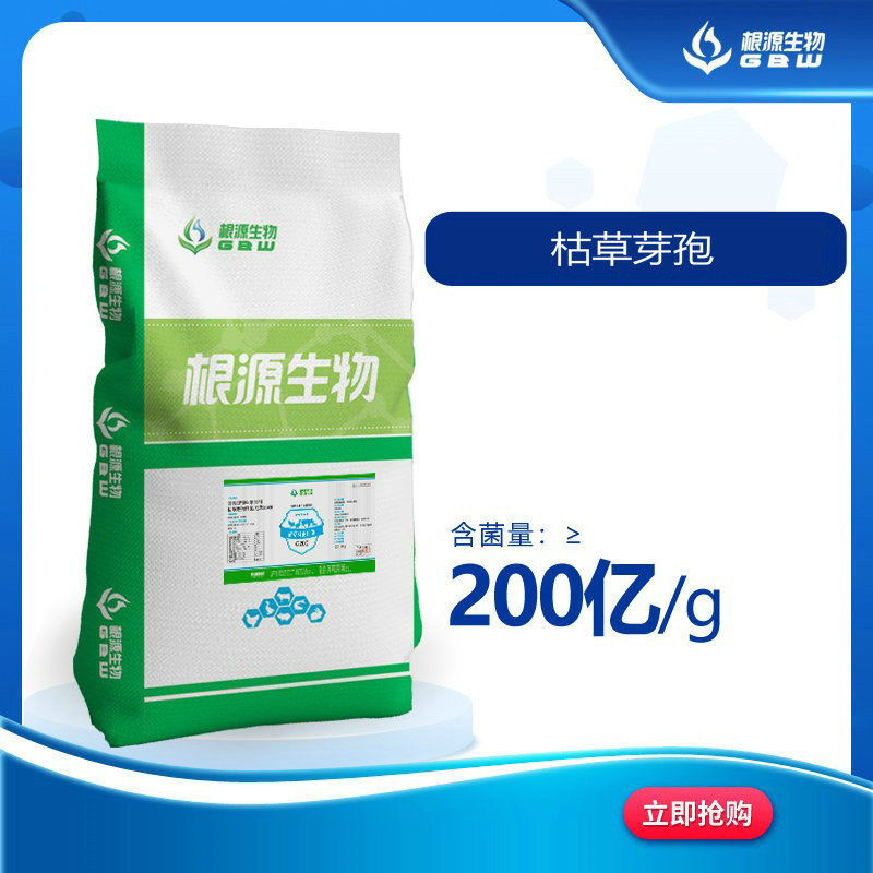 源头厂家 枯草芽孢杆菌200亿  降解有机物