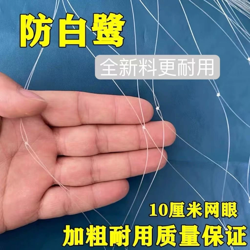 Сетка для пруда против птиц с большими сетчатыми отверстиями для предотвращения размножения бакенбард, ворон, лоачей и лягушек. Сетка с большими сетчатыми отверстиями для предотвращения размножения птиц и небесных сетей.